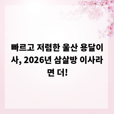 빠르고 저렴한 울산 용달이사, 2026년 삼살방 이사라면 더!