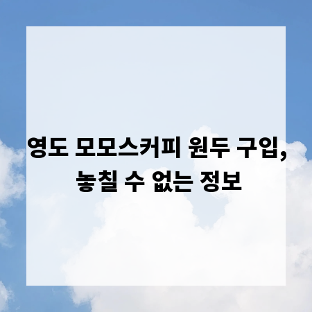 영도 모모스커피 원두 구입, 놓칠 수 없는 정보