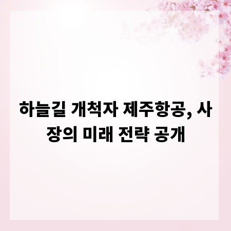 하늘길 개척자 제주항공, 사장의 미래 전략 공개