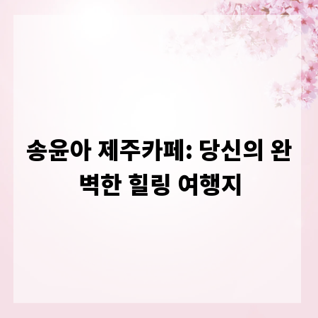 송윤아 제주카페: 당신의 완벽한 힐링 여행지