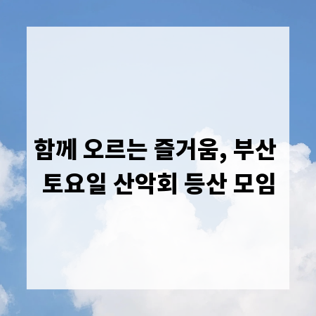 함께 오르는 즐거움, 부산 토요일 산악회 등산 모임