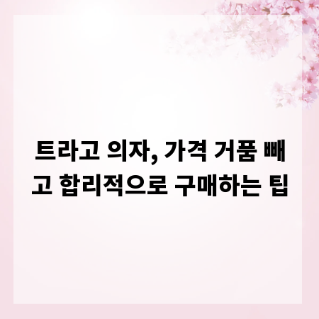 트라고 의자, 가격 거품 빼고 합리적으로 구매하는 팁