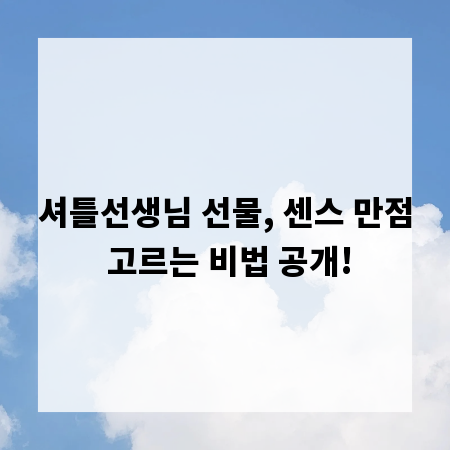셔틀선생님 선물, 센스 만점 고르는 비법 공개!