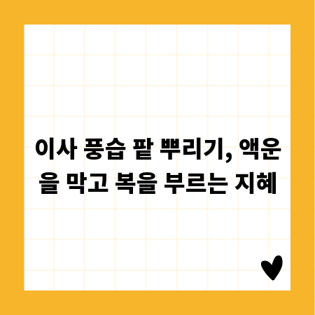 이사 풍습 팥 뿌리기, 액운을 막고 복을 부르는 지혜