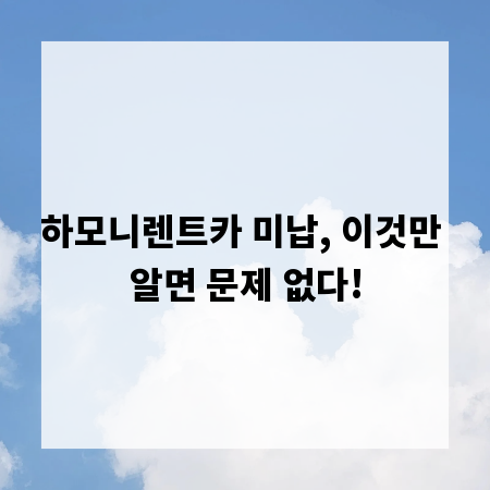하모니렌트카 미납, 이것만 알면 문제 없다!
