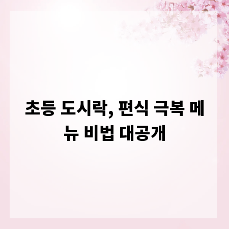 초등 도시락, 편식 극복 메뉴 비법 대공개