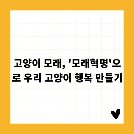 고양이 모래, '모래혁명'으로 우리 고양이 행복 만들기
