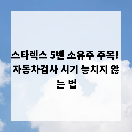 스타렉스 5밴 소유주 주목! 자동차검사 시기 놓치지 않는 법