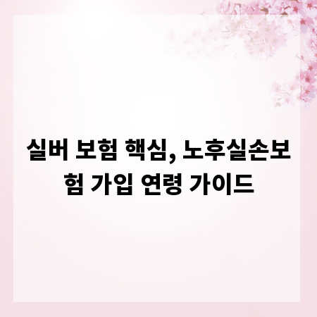 실버 보험 핵심, 노후실손보험 가입 연령 가이드