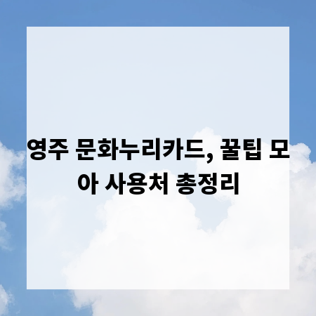 영주 문화누리카드, 꿀팁 모아 사용처 총정리
