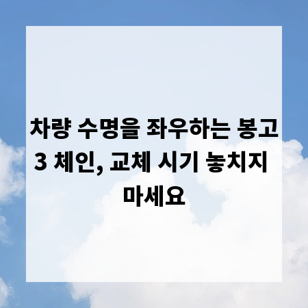 차량 수명을 좌우하는 봉고3 체인, 교체 시기 놓치지 마세요