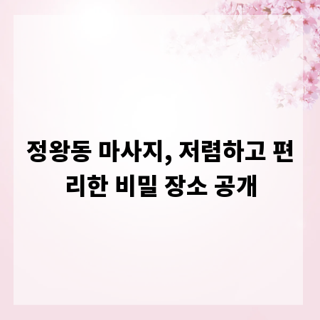 정왕동 마사지, 저렴하고 편리한 비밀 장소 공개