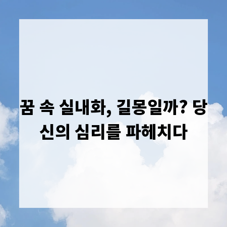 꿈 속 실내화, 길몽일까? 당신의 심리를 파헤치다