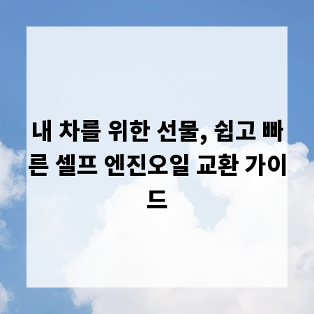 내 차를 위한 선물, 쉽고 빠른 셀프 엔진오일 교환 가이드