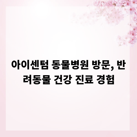 아이센텀 동물병원 방문, 반려동물 건강 진료 경험